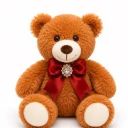 Stuffed Animal image