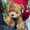 Bear on Tummy image