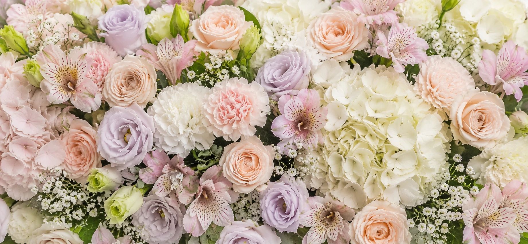 Featured flowers