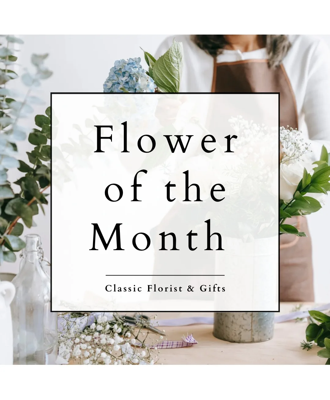 Subscriptions Flower of the Month Subscriptions Flower of the Month