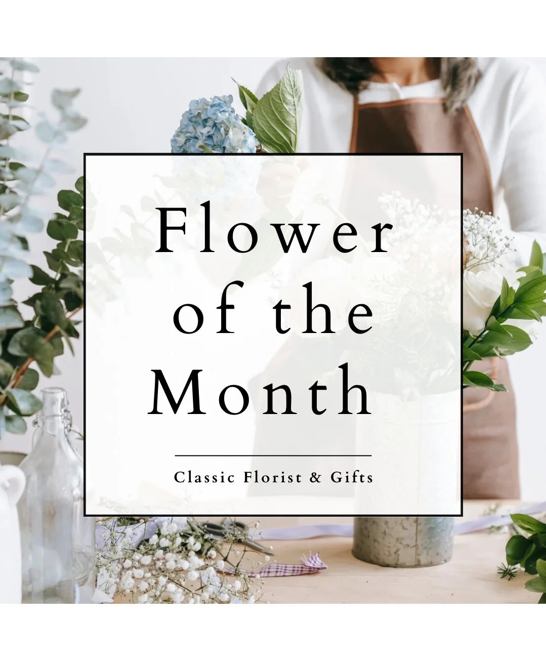Subscriptions Flower of the Month