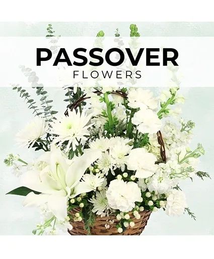 Passover Florist’s Pick Designer's Choice