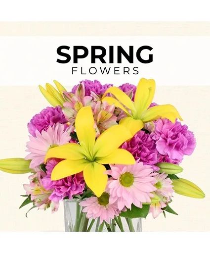 Spring Florist’s Pick Designer's Choice