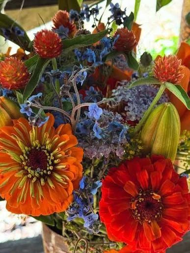 Autumn Harvest collection