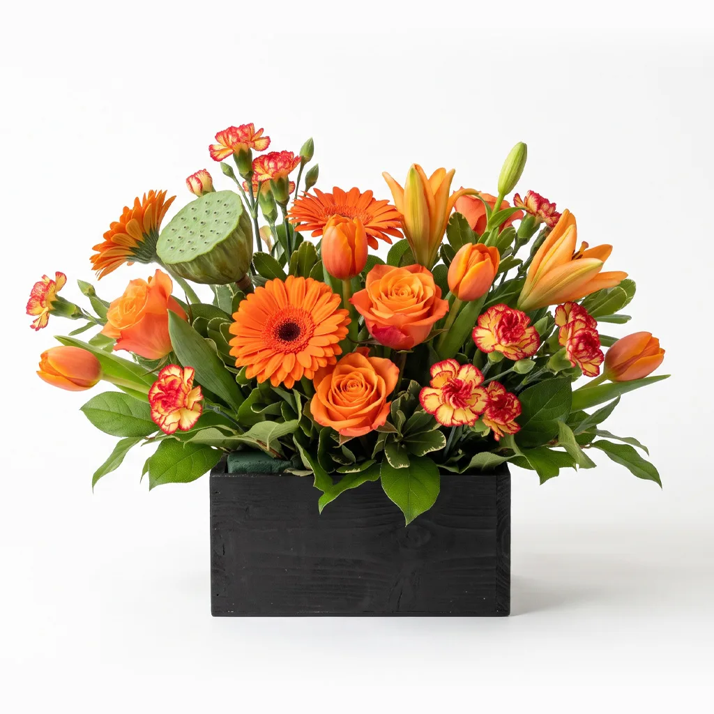 Bonfire Blaze Bonfire Blaze
