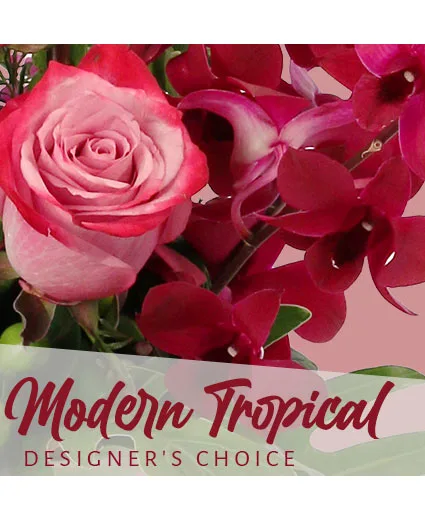 Modern Tropical Beauty Designer's Choice Modern Tropical Beauty Designer's Choice