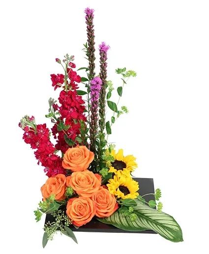 Modern Radiance Floral Design
