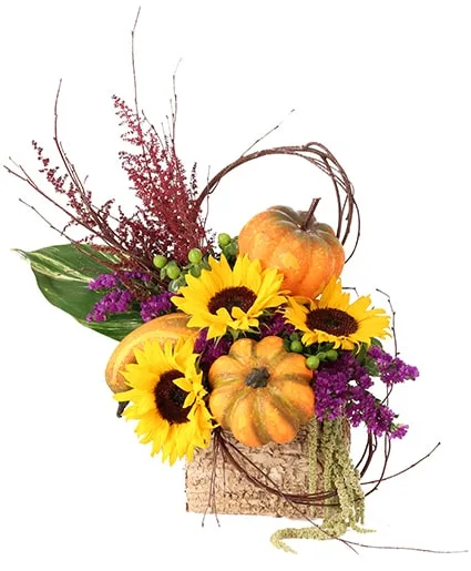 Blooming Pumpkin Patch Floral Design Blooming Pumpkin Patch Floral Design