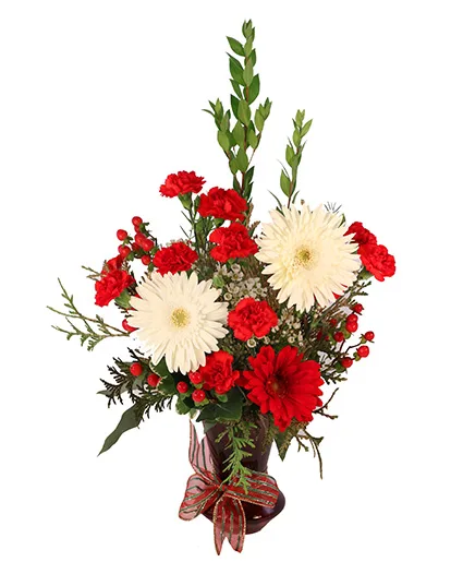 Red & White Daisy Delight Floral Design Red & White Daisy Delight Floral Design