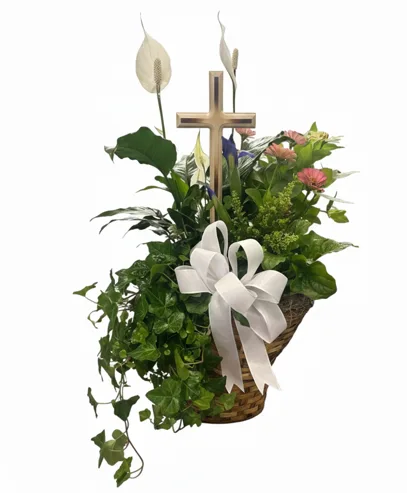 Peace Lily 10 Peace Lily 10