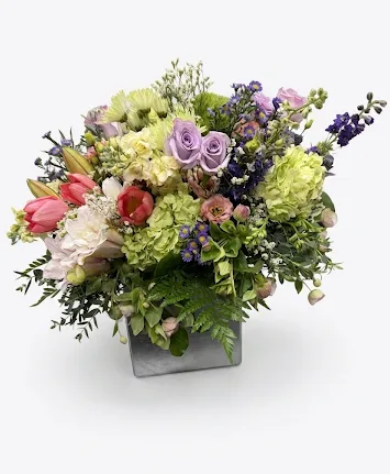 DC503 DC503