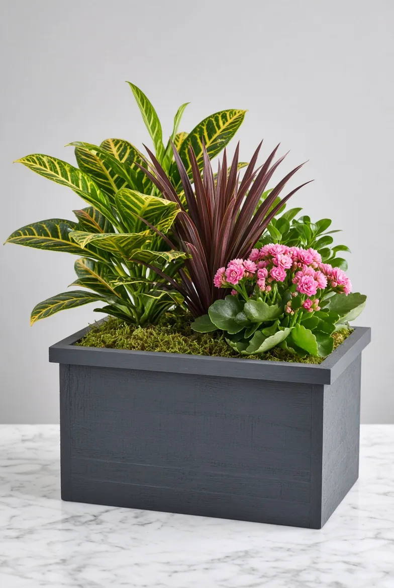 Mixed Plant Basket Mixed Plant Basket