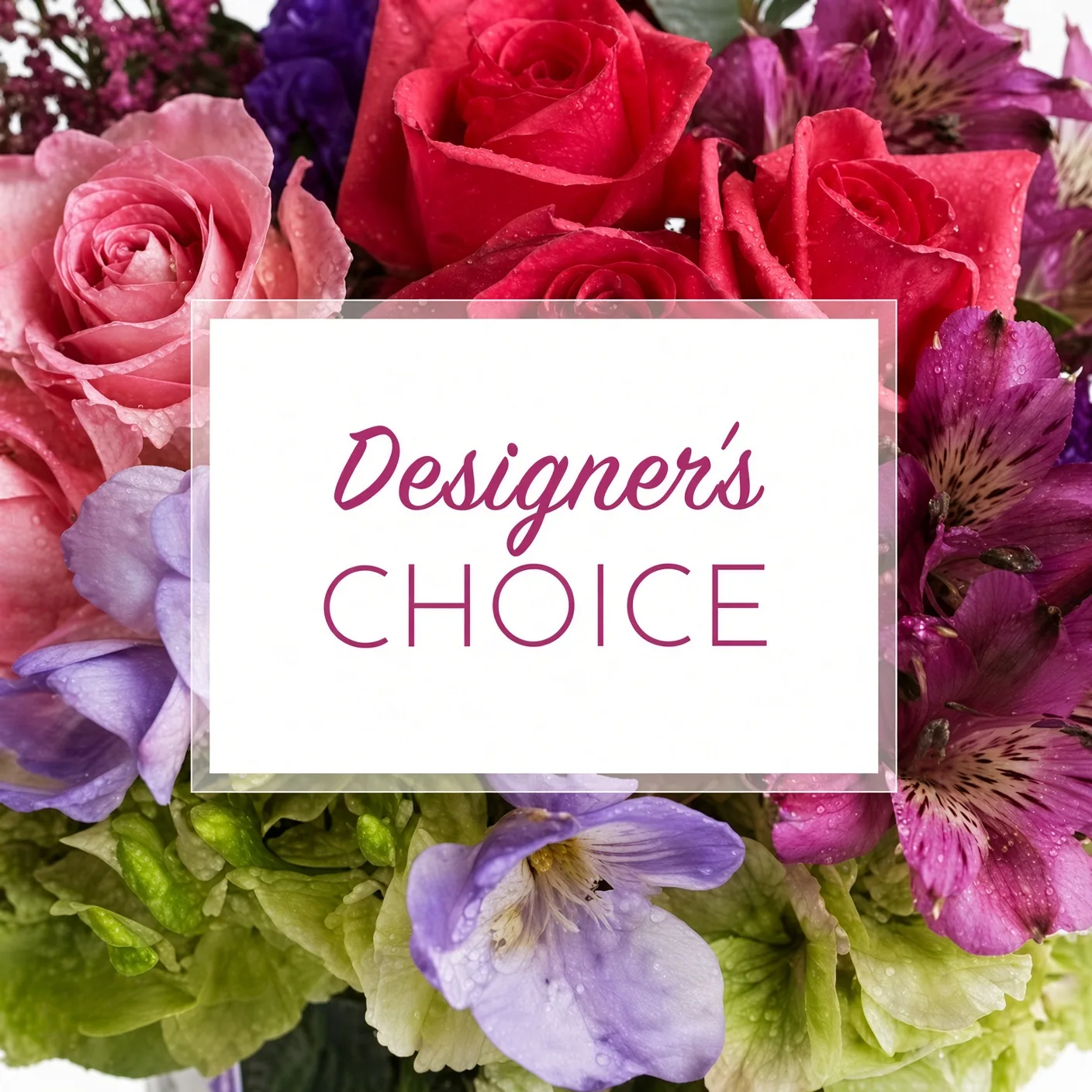 Designer's Choice Designer's Choice