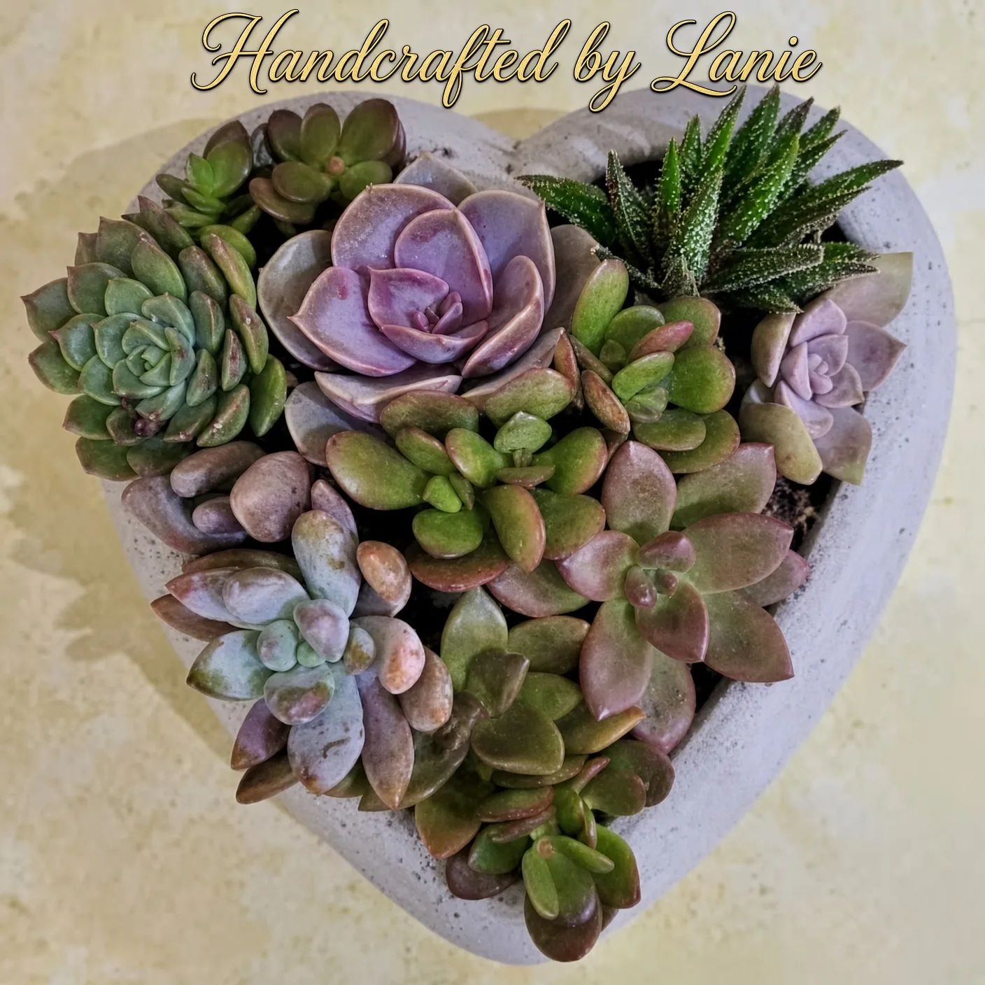 Lanie's Heart