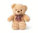 Teddy Bear image