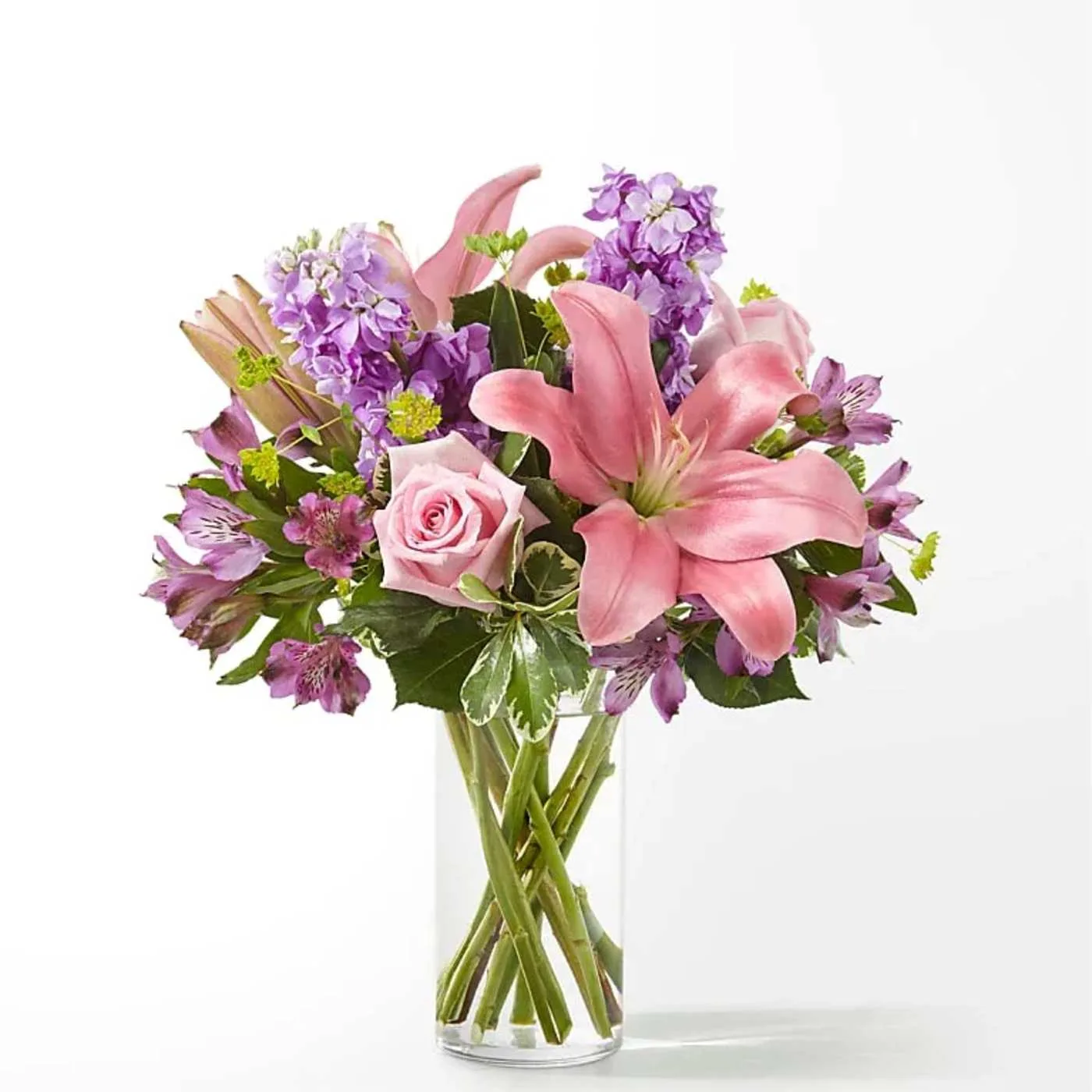 Precious Petals Precious Petals