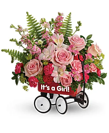 Welcome Beautiful Bouquet all around Welcome Beautiful Bouquet all around