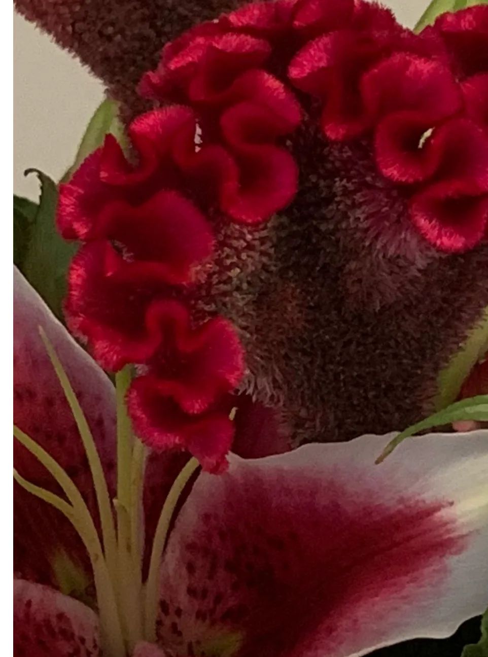 Specialty Designer Choice Premium Floral Design