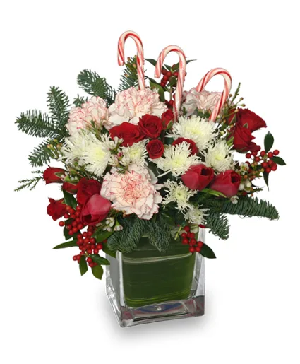 PEPPERMINT PLEASURES Christmas Bouquet PEPPERMINT PLEASURES Christmas Bouquet