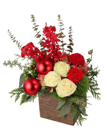 Cheerful Comfort Christmas Arrangement Cheerful Comfort Christmas Arrangement