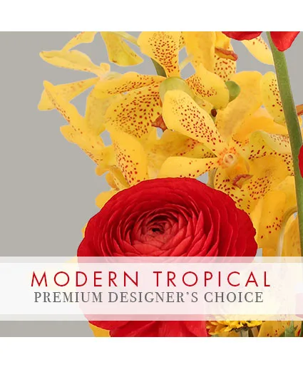 Modern Tropical Stunner Premium Designer's Choice Modern Tropical Stunner Premium Designer's Choice