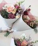 Seasonal Mix Wrapped No Vase