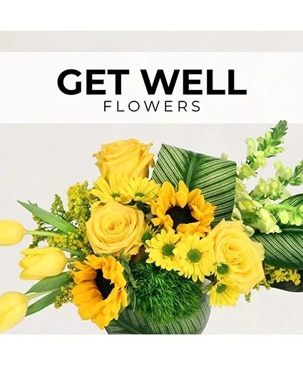 Get Well Florist’s Pick Designer's Choice