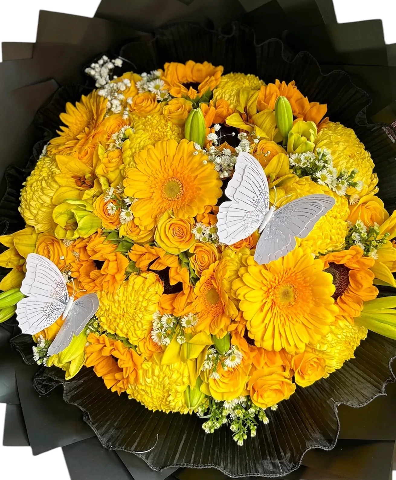 Yellow day Yellow day