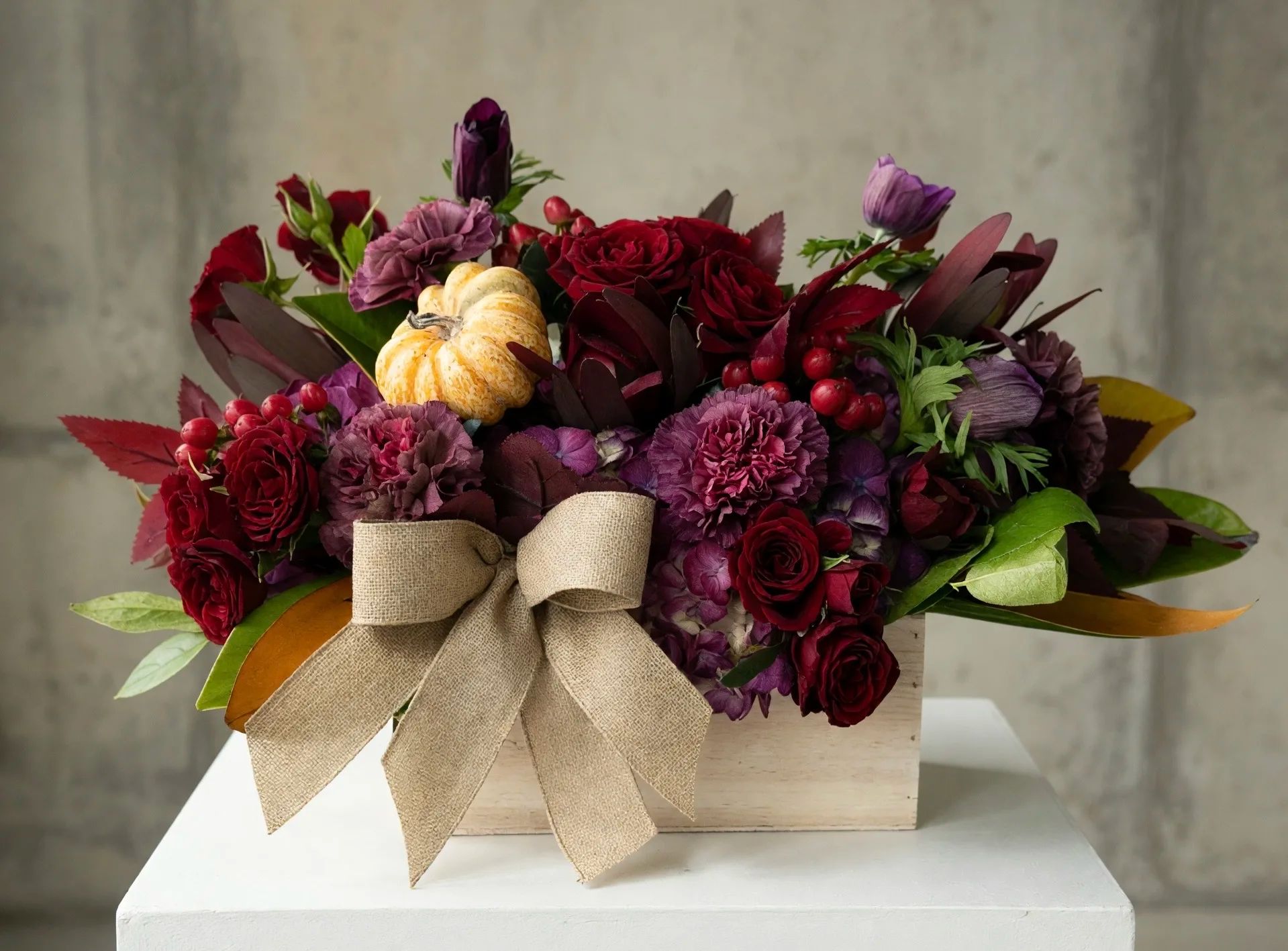 Velvet Harvest