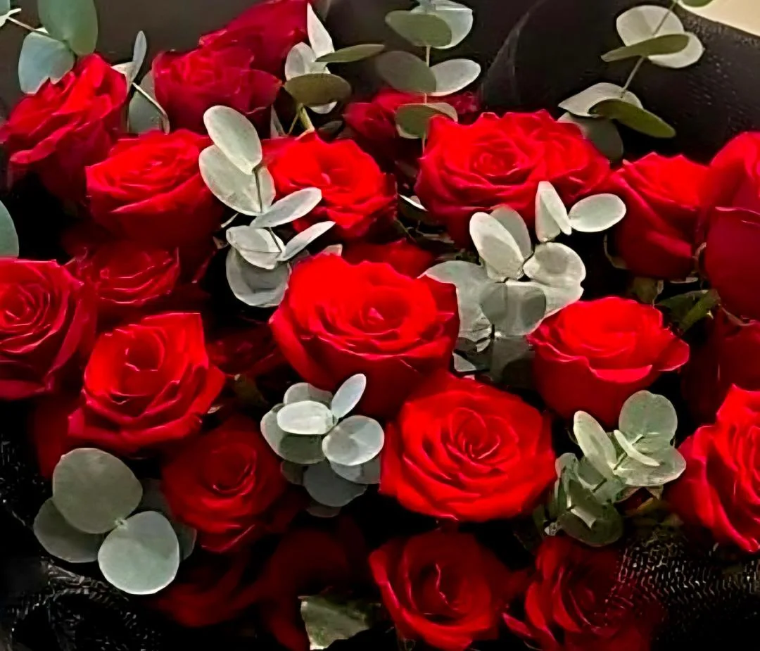Dexter Dozen Roses Dexter Dozen Roses