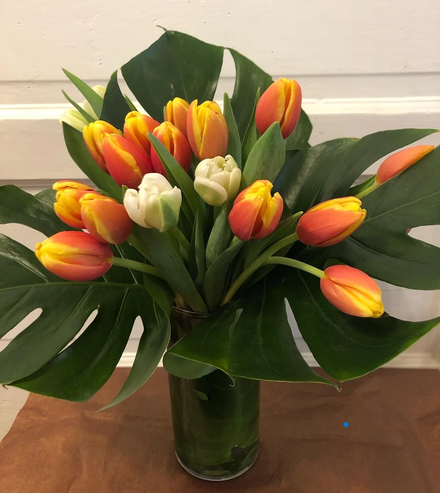 Just The Tulips Just The Tulips