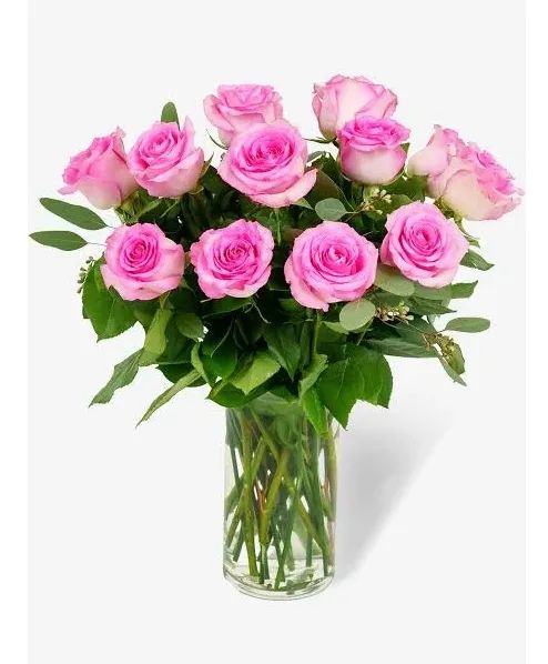 Dozen Pink Roses Romance