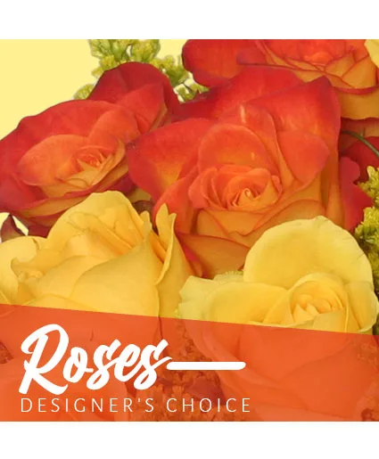 Beautiful Roses Designer's Choice Beautiful Roses Designer's Choice