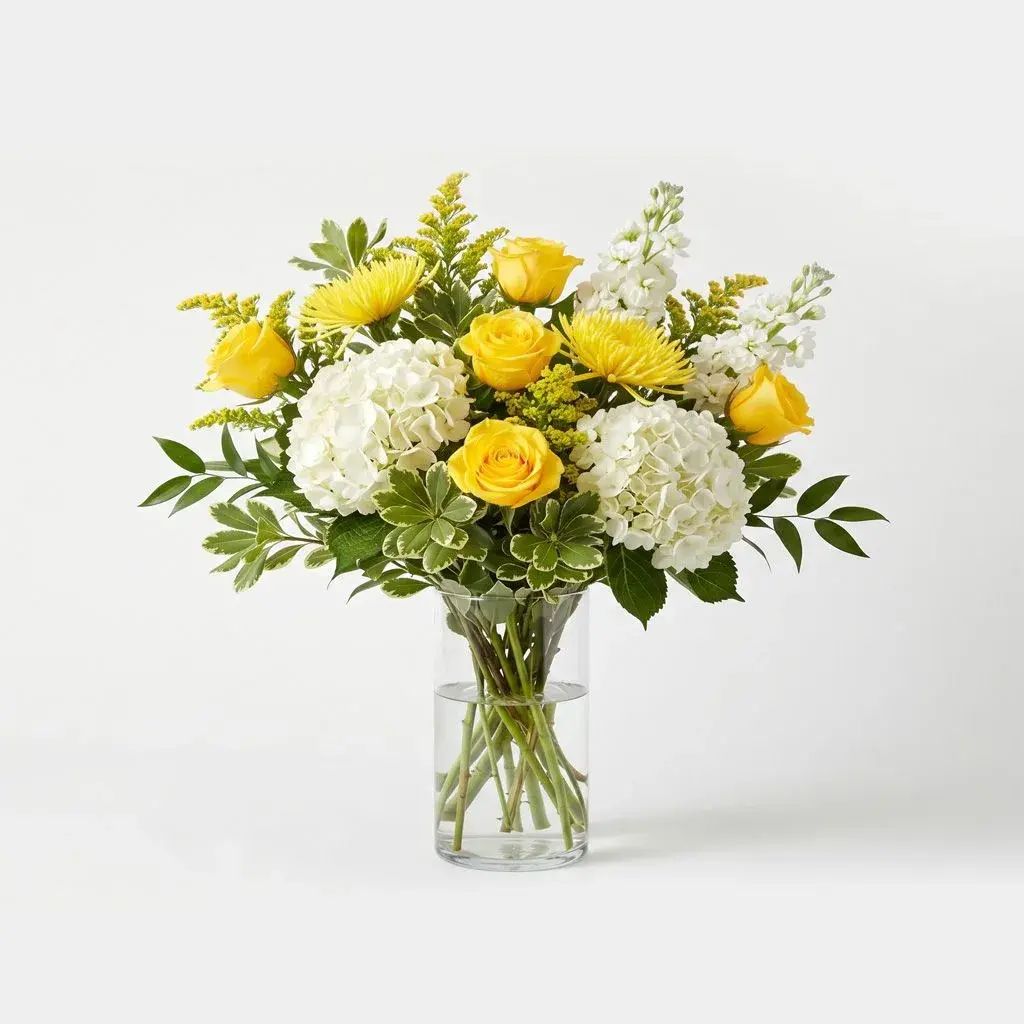 Sunshine Hydrangea