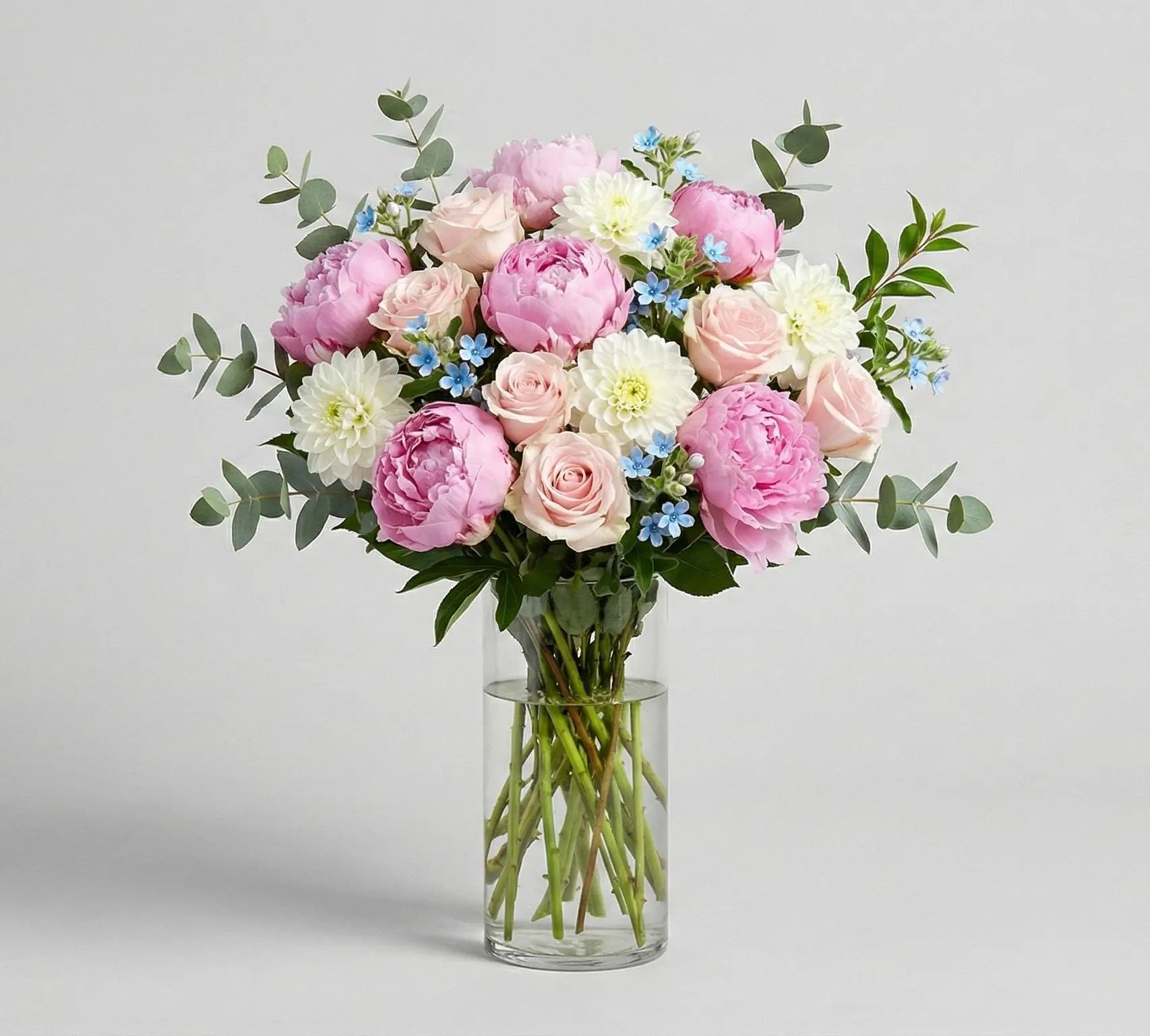 Peony Paradise