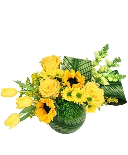 Splendid Sunshine Vase Arrangement Splendid Sunshine Vase Arrangement