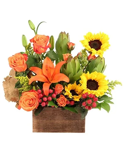 Sunny Radiance Floral Design Sunny Radiance Floral Design