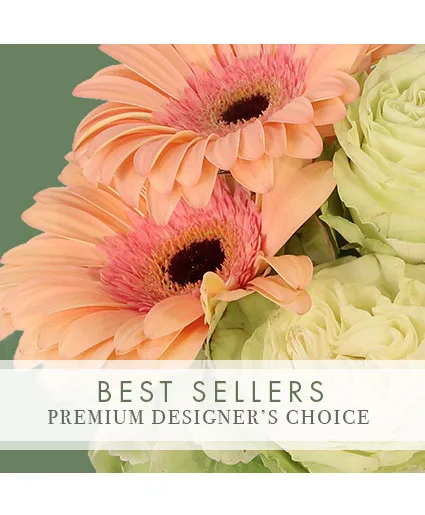 Perfect Choice Best Seller Premium Designer's Choice Perfect Choice Best Seller Premium Designer's Choice