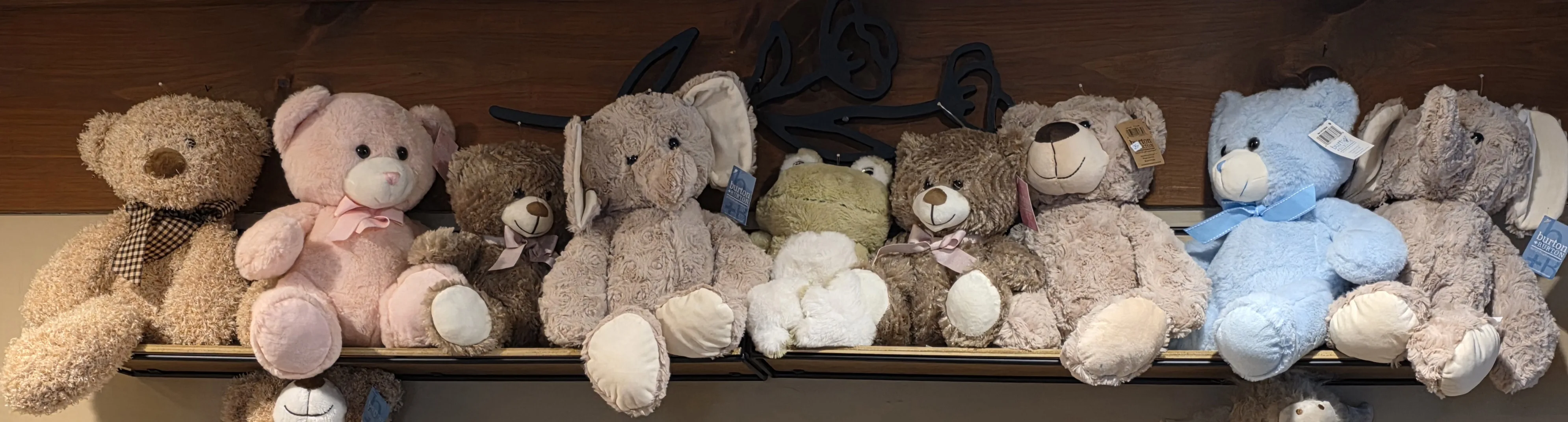 Stuffies Stuffies