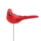 Sympathy Picks Sympathy Picks image