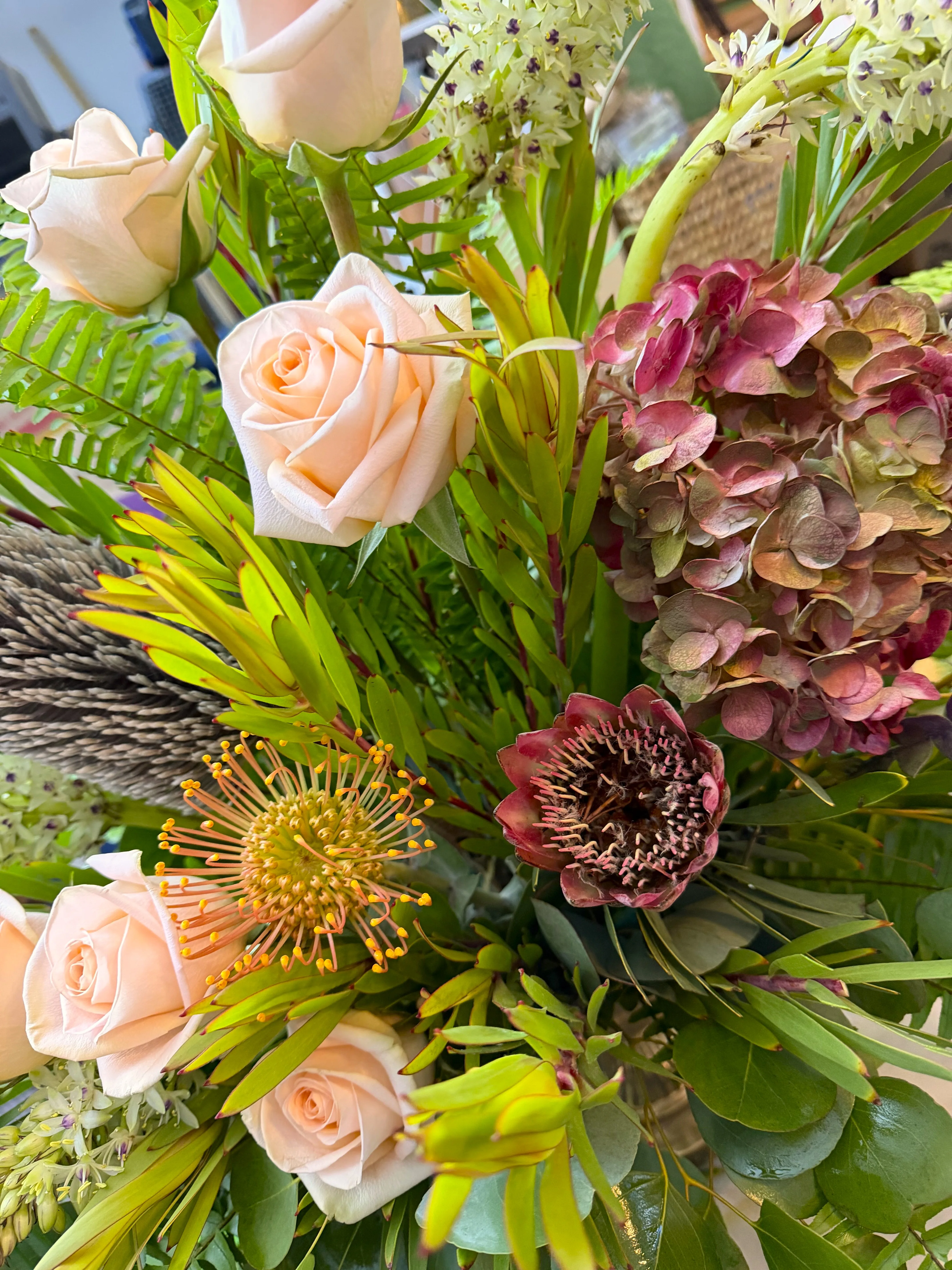 Down Under Delight-3 day special order Down Under Delight-3 day special order