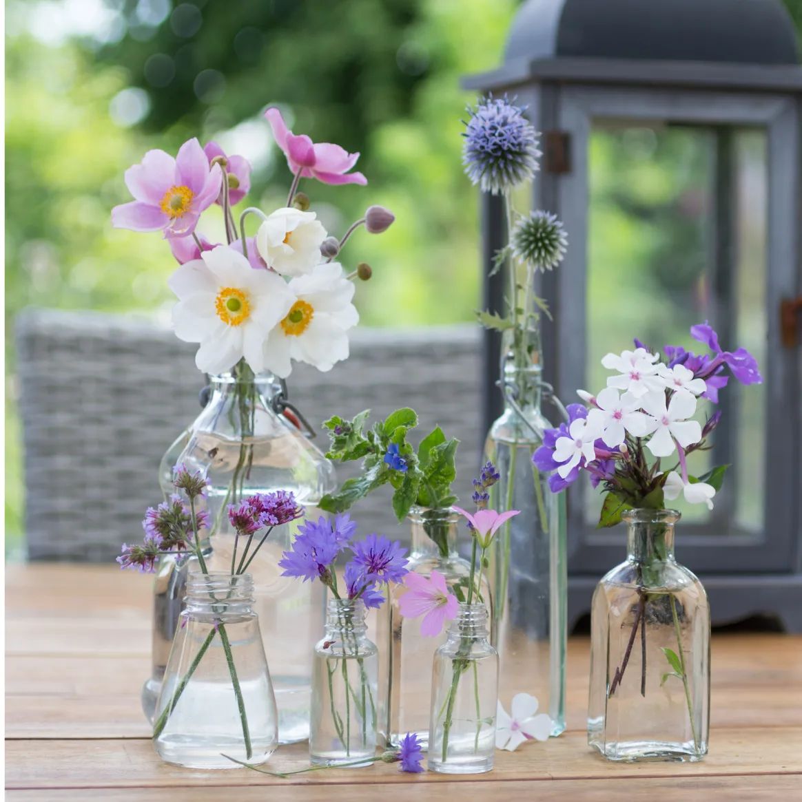 Set of 5 Small Bottle Vases with 3 Stems and Greenery