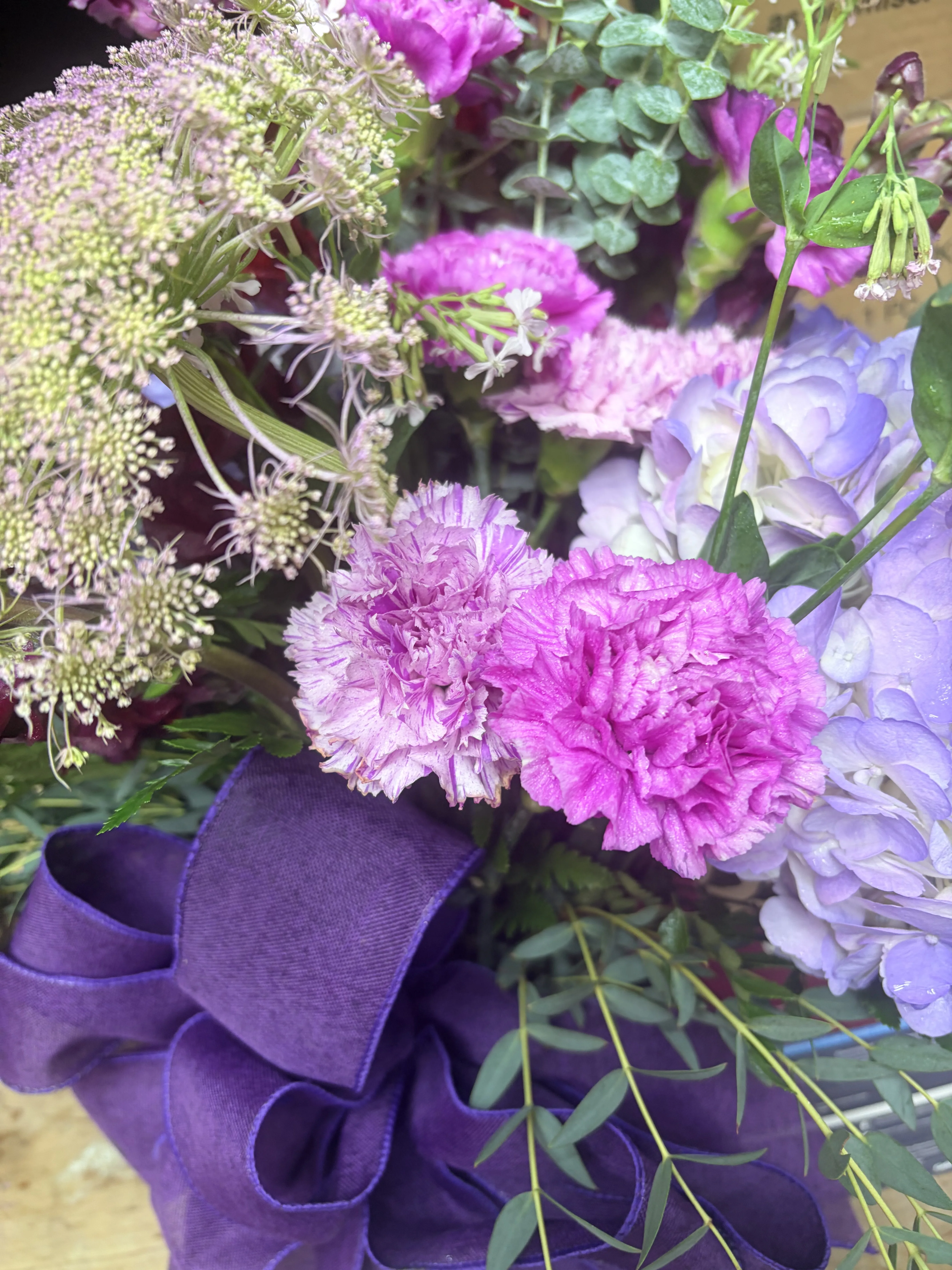 Violet Dreams Violet Dreams