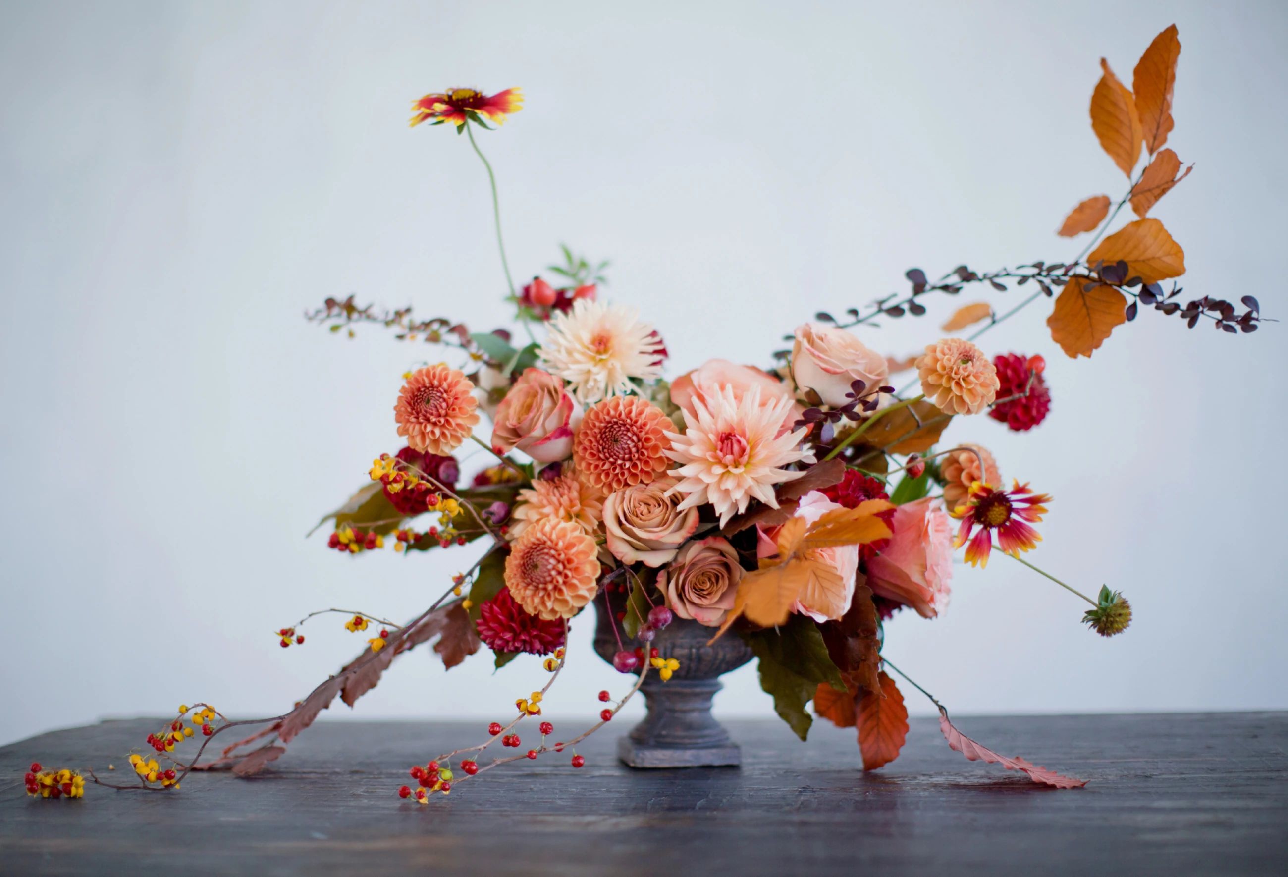 Featured flowers