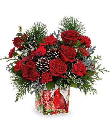 Cardinal Cheer