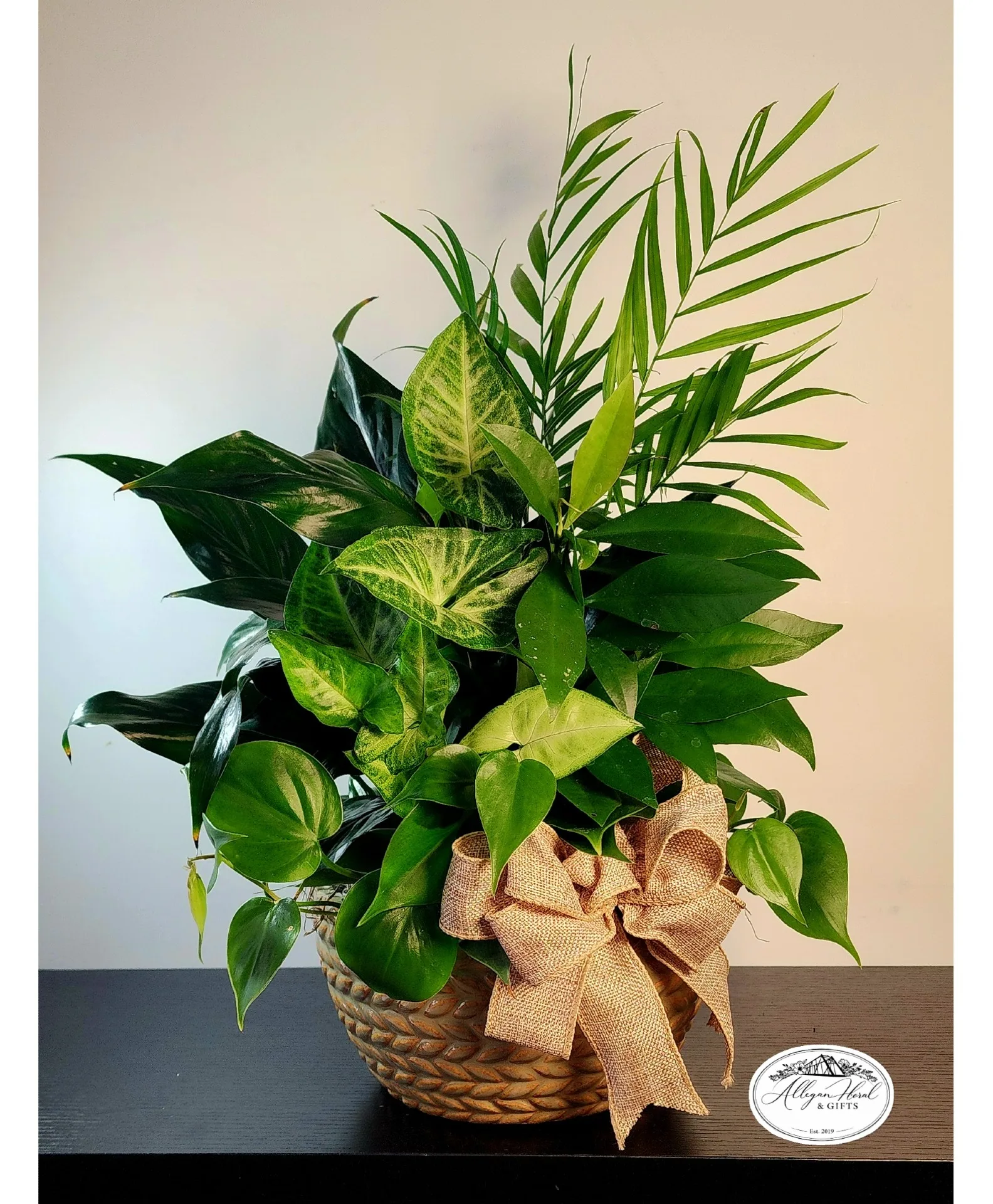 Ceramic Bowl Dishgarden Plants Ceramic Bowl Dishgarden Plants