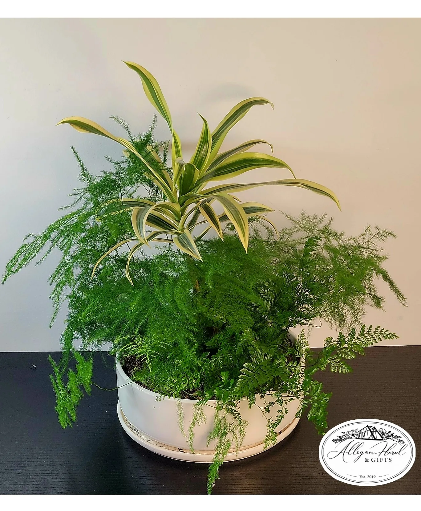 Shade Dishgarden Planter Shade Dishgarden Planter