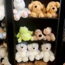 Stuffed Animal-Warmies image