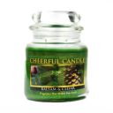 Cheerful Giver Candle image