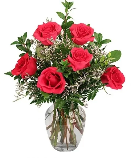 6 Roses your Choice of Color 6 Roses your Choice of Color